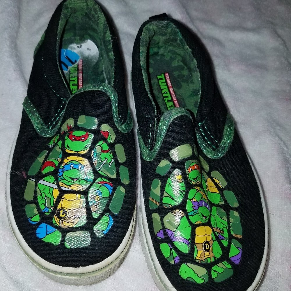 Ninja turtle slides